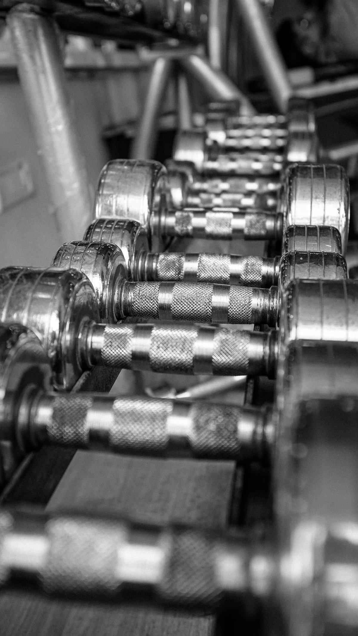 Rows of chrome dumbbells on a rack in black and white